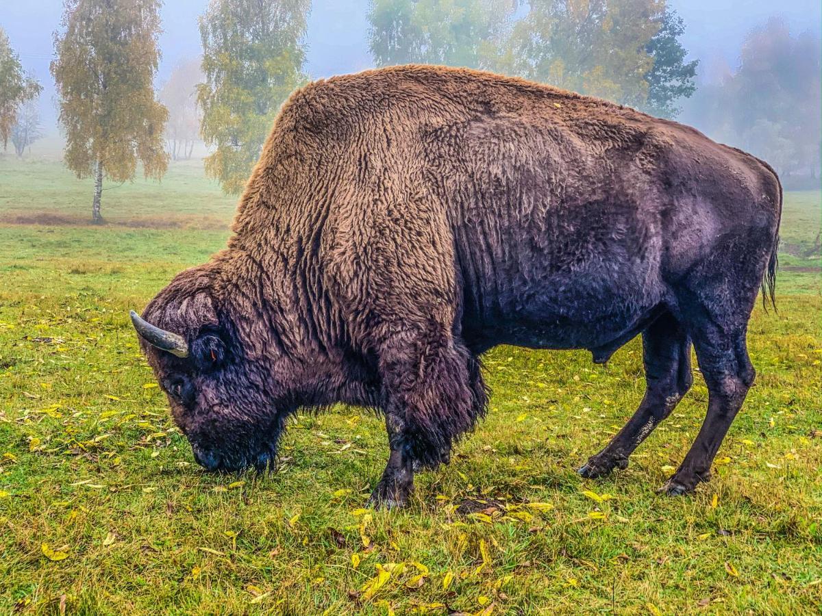 Podhradi Landstejn Villa Slavonice Buitenkant foto